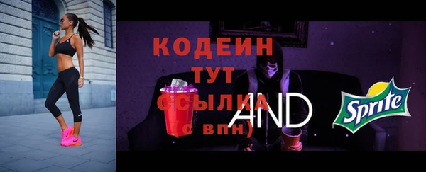 МДПВ Осинники