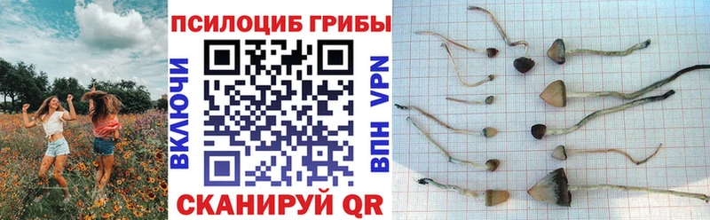 купить закладку  Абинск  ОМГ ОМГ онион  Галлюциногенные грибы Magic Shrooms 