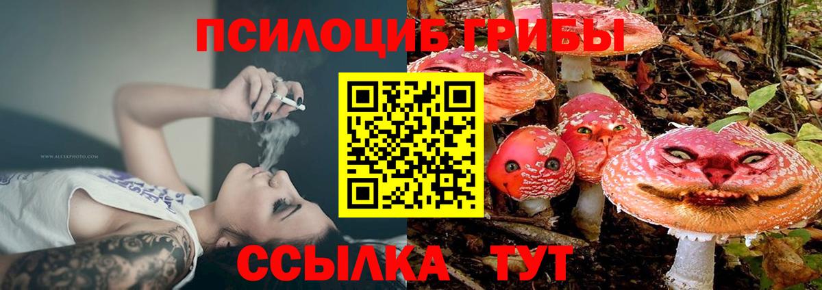 Галлюциногенные грибы Magic Shrooms Абинск