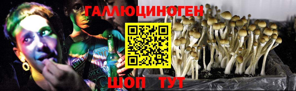 Псилоцибиновые грибы Magic Shrooms  Абинск 