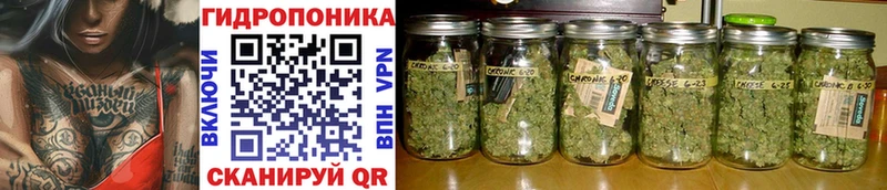 Каннабис White Widow Абинск